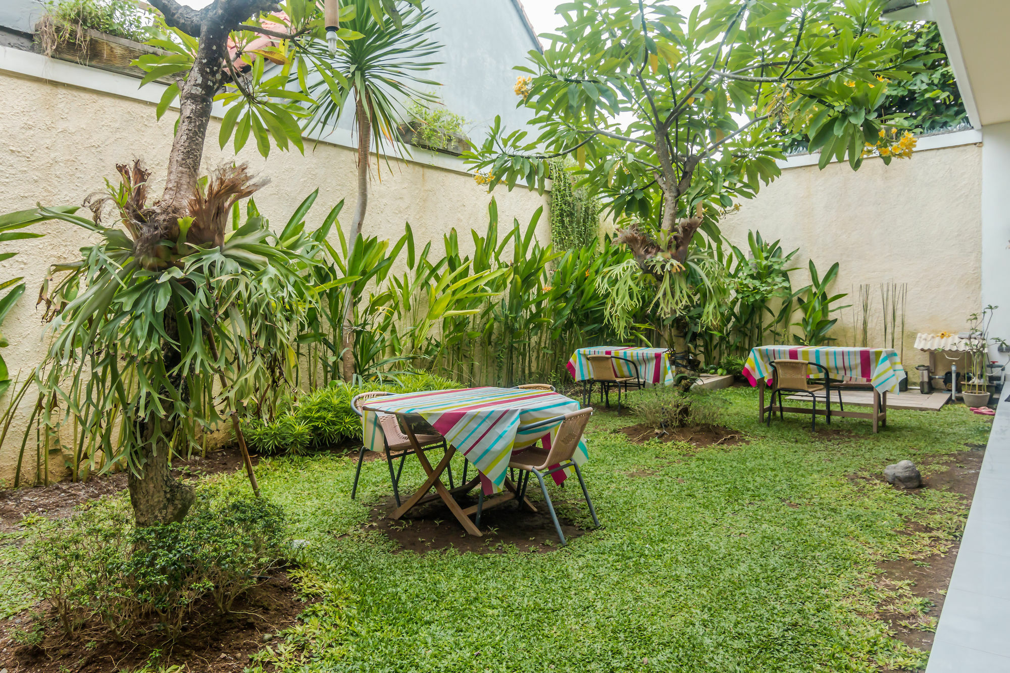Zen Rooms Denpasar Mertasari Buitenkant foto